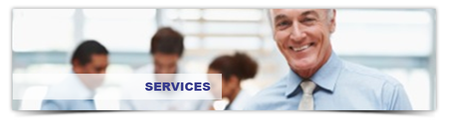 Building Industry Associates, Inc. Services